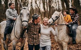 Tmbin'S Barn - Nature, Horses, Family